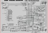Leeson 3 Phase Motor Wiring Diagram 230v Motor Wiring Diagram Wiring Diagram Database