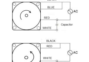 Leeson 3 Phase Motor Wiring Diagram Ac Motor Wiring Wiring Diagrams Ments