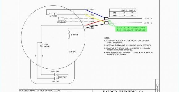 Leeson 5hp Motor Wiring Diagram Leeson Dc Motor Wiring Diagram Wiring Diagram Centre