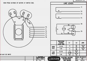 Leeson Electric Motors Wiring Diagrams Mars Fan Motor Wiring Diagram at Manuals Library