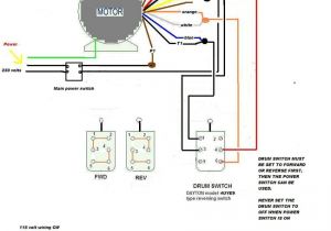 Leeson Motor Wiring Diagram Emerson Compressor Motor Wiring Diagram Wiring Diagram View