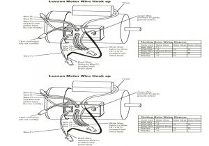 Leeson Motor Wiring Diagram Pdf Leeson Wiring Diagram Blog Wiring Diagram