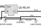 Leeson Motors Wiring Diagrams 115 230 On Franklin Electric Motor Wiring Diagrams Wiring