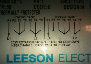 Leeson Motors Wiring Diagrams Leeson Motor Wiring Diagram Child and Family Blog