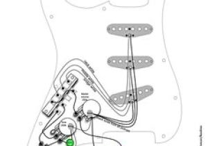 Left Handed Stratocaster Wiring Diagram 48 Best Seymour Duncan Wireing Diagrams Images Guitar