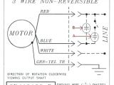 Leland Faraday Wiring Diagram Leland Electric Motor Jinya