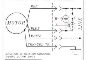 Leland Faraday Wiring Diagram Leland Electric Motor Jinya