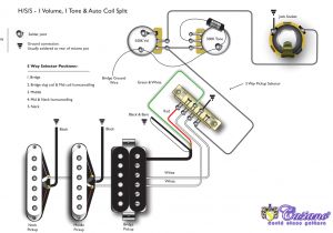 Les Paul Coil Tap Wiring Diagram Pin Em Guitar Wiring Les Paul Coil Tap Wiring Diagram Pin Em Guitar Wiring