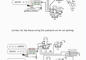 Les Paul Custom Wiring Diagram Free Download B Guitar Wiring Diagram Fgm Series Need Wiring Les Paul Custom Wiring Diagram Free Download B Guitar Wiring Diagram Fgm Series Need Wiring