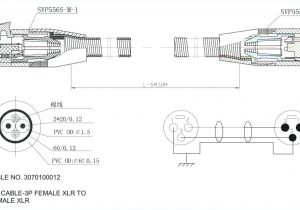 Les Paul Wiring Diagram Modern EpiPhone Les Paul Pickup Wiring Diagram Studio Standard 3 Enthusiast Les Paul Wiring Diagram Modern EpiPhone Les Paul Pickup Wiring Diagram Studio Standard 3 Enthusiast