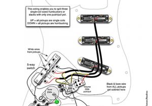 Les Paul Wiring Diagram Seymour Duncan Spst Wiring Diagrams Seymour Duncan Stratocaster Wiring Diagram