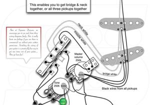 Les Paul Wiring Diagram Seymour Duncan Spst Wiring Diagrams Seymour Duncan Stratocaster Wiring Diagram