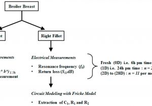 Leviton 3 Way Wiring Diagram Leviton Dimmer Wiring Diagram Elegant 5 Way Switch Wiring with
