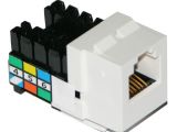 Leviton 41106 Rw6 Wiring Diagram Leviton 41106 Rw6 Voice Grade Quick Port Connector 0a2708