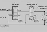 Leviton 5611 Wiring Diagram Leviton Decora Switch Wiring Diagram Wiring Library