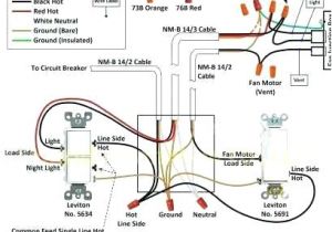 Leviton Double Switch Wiring Diagram Leviton Double Switch Wiring Avivlocks Com Leviton Double Switch Wiring Diagram Leviton Double Switch Wiring Avivlocks Com