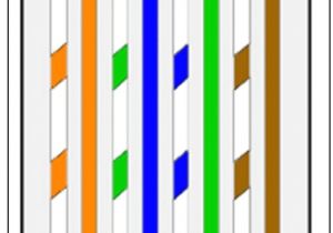 Leviton Phone Jack Wiring Diagram Cat 5 Wiring Diagram for Phone Wiring Diagram Schema