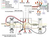 Leviton Switch Wiring Diagram L520c Wiring Diagram Electrical Schematic Wiring Diagram