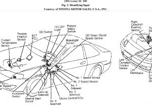 Lexus Sc300 Wiring Diagram I Have A 92 Lexus Sc300 that Was In Storage for 18 Months Getting