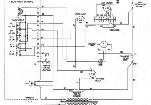 Lg Microwave Wiring Diagram Wolf Range Wiring Diagram Wiring Diagram