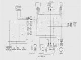 Lifan 110cc Wiring Diagram Sunl 100cc Wiring Diagrams Wiring Diagram Ebook