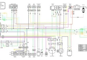 Lifan 110cc Wiring Diagram Wiring Diagram Of Honda Xrm 125 Wiring Database Diagram