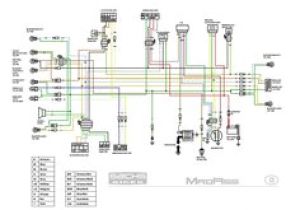 Lifan Wiring Diagram 7 Best Quad Wiring Diagrams Images In 2018 Diagram Engine Types Quad
