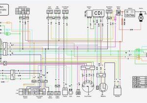 Lifan Wiring Diagram atv 200 Wiring Diagram Wds Wiring Diagram Database Lifan Wiring Diagram atv 200 Wiring Diagram Wds Wiring Diagram Database