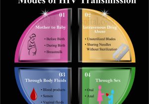 Light Wire Diagram Wiring Diagram Template Lera Mera Light Wire Diagram Wiring Diagram Template Lera Mera