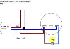 Light Wiring Diagram Uk Wire System New Harmonised Cable Colours Showing Switch and Ceiling