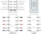 Lighted toggle Switch Wiring Diagram Marine Rocker Switches Wiring Diagram or Wiring Diagram for Rocker Lighted toggle Switch Wiring Diagram Marine Rocker Switches Wiring Diagram or Wiring Diagram for Rocker