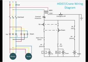 Limit Switch Wiring Diagram Motor Hoist Control Circuit Youtube Limit Switch Wiring Diagram Motor Hoist Control Circuit Youtube