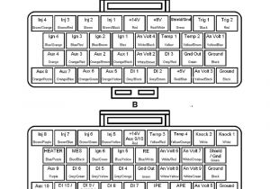 Link G4 Xtreme Wiring Diagram 3s Ge Redtop Beams Wire In G4 Link Engine Management Link G4 Xtreme Wiring Diagram 3s Ge Redtop Beams Wire In G4 Link Engine Management