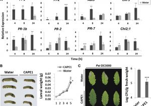 Lithonia Ps1400 Wiring Diagram Power Sentry Ps1400 Wire Diagram Wiring Library