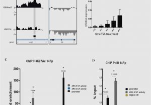 Lithonia Ps1400 Wiring Diagram Power Sentry Psq500 Wiring Diagram Wiring Diagram Centre