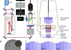 Logitech Z 640 Wiring Diagram Three Dimensional Two Photon Brain Imaging In Freely Moving Mice