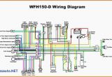 Loncin Quad Wiring Diagram 49cc atv Wiring Diagram Wiring Diagram