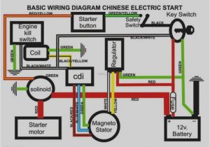 Loncin Quad Wiring Diagram Baja atv Wiring Diagram Manual E Book
