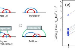 Loop Wiring Diagram 23 Clever Electrical Wiring Diagram software Open source Design Loop Wiring Diagram 23 Clever Electrical Wiring Diagram software Open source Design