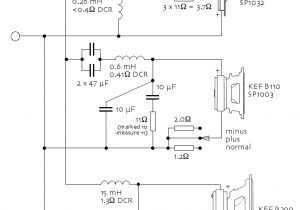 Loudspeaker Wiring Diagram Fried Model H Loudspeaker In 2019 Hifi Amplifier Subwoofer Box
