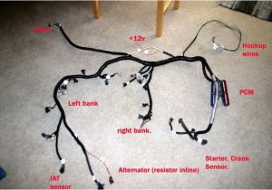 Ls Standalone Wiring Harness Diagram Ls1 Wire Harness Diagram Wiring Diagrams Show