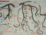 Ls Standalone Wiring Harness Diagram Swap Wiring Harness Lt1 Wiring Harness Diagram Ls1 Engine Swap