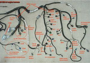 Ls Standalone Wiring Harness Diagram Swap Wiring Harness Lt1 Wiring Harness Diagram Ls1 Engine Swap