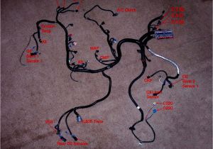 Ls Swap Wiring Diagram Ls Swap Wiring Diagram 1998 Wiring Diagram List