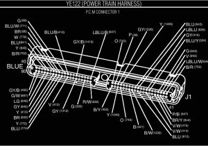 Ls1 Ecu Wiring Diagram Ls1 Wiring Diagram Pdf Wiring Diagram Home Ls1 Ecu Wiring Diagram Ls1 Wiring Diagram Pdf Wiring Diagram Home