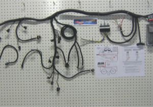 Lt1 Wiring Harness Diagram 93 Lt1 Wiring Harness Diagram Schematic Wiring Diagram Lt1 Wiring Harness Diagram 93 Lt1 Wiring Harness Diagram Schematic Wiring Diagram