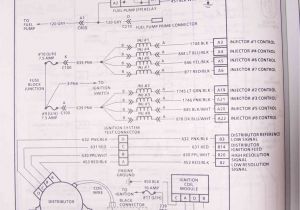 Lt1 Wiring Harness Diagram Lt1 Engine Wiring Harness Diagram Wiring Diagram Centre