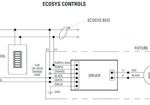 Lutron Dv 600p Wiring Diagram Lutron Wiring Diagram Wiring Schematic Diagram 1 Artundbusiness De Lutron Dv 600p Wiring Diagram Lutron Wiring Diagram Wiring Schematic Diagram 1 Artundbusiness De