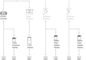 Lutron Dvfsq F Wiring Diagram 1000311139 Catalog