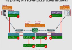 M12 to Rj45 Wiring Diagram Hz 1010 Male Rj 45 Wiring Diagram Schematic Wiring M12 to Rj45 Wiring Diagram Hz 1010 Male Rj 45 Wiring Diagram Schematic Wiring
